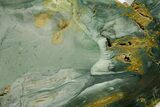 Gary Green Jasper (Larsonite) Bog Wood Slab - Oregon #377735-1